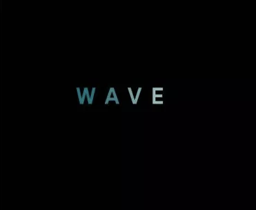 2014 Wave
