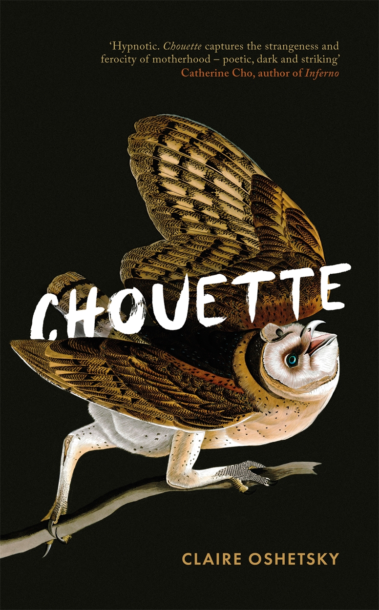 chouette oshetsky