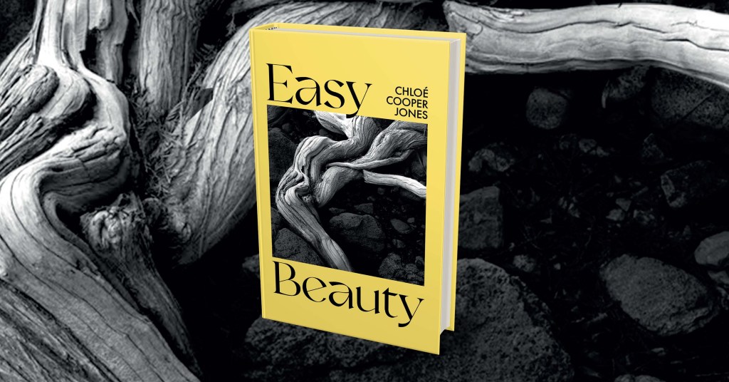 Extract from Easy Beauty by Chloé Cooper Jones