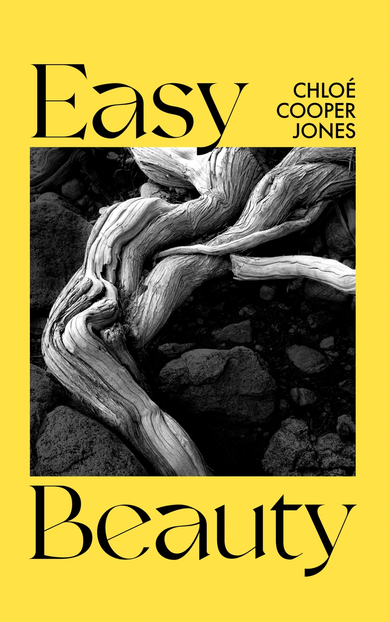 Easy Beauty By Chloe Cooper Jones Hachette Uk