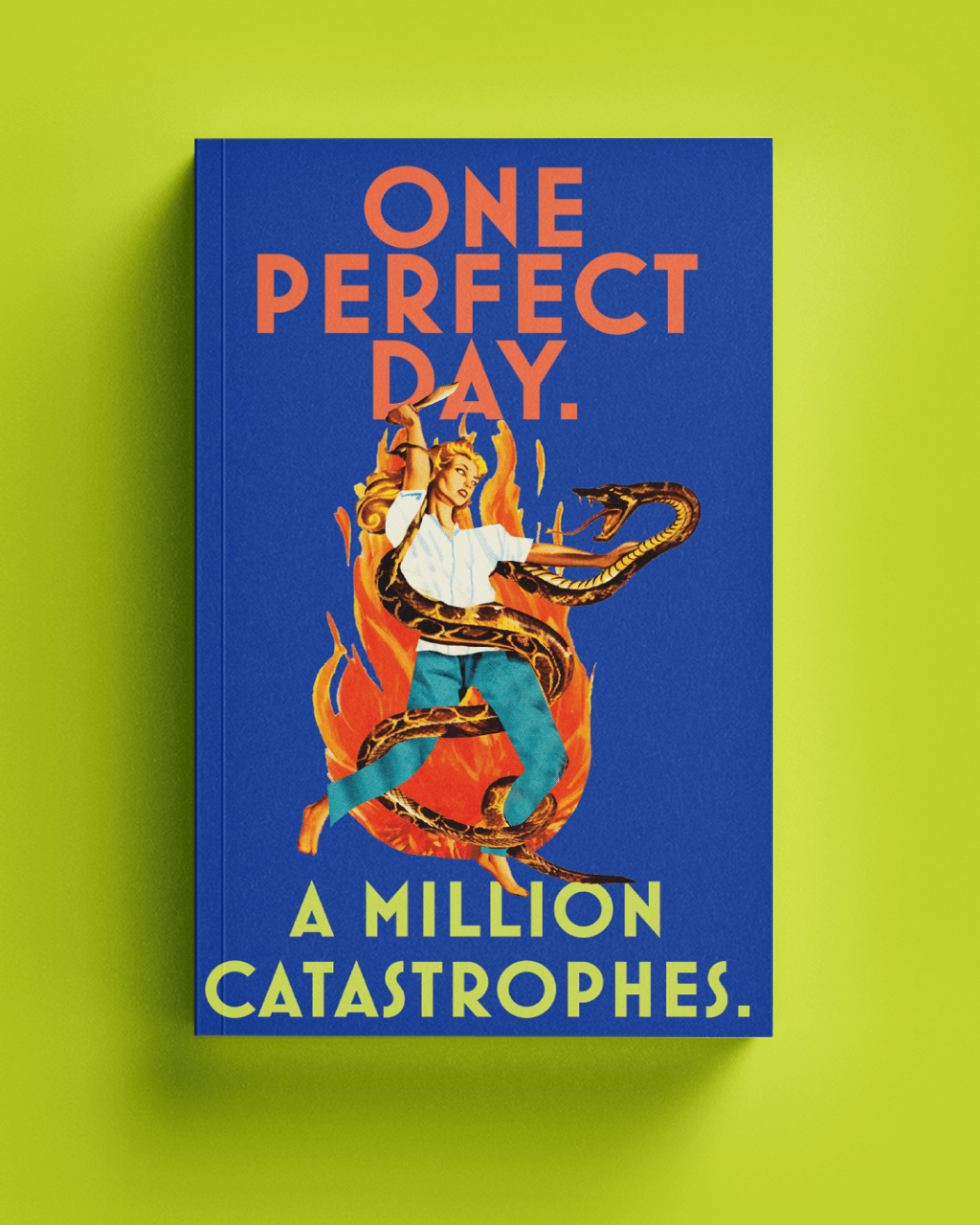 Natural Disaster by Lisa Owens